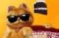 Garfield food Frenzy